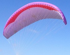 Paraglider used wing- Gin Bolero