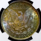 1884-O Morgan Silver Dollar $1 ~ NGC MS64 ☆☆☆Beautiful Toning!!☆☆☆