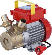 Elettropompa Da Travaso Rover 20 CE - 0,50 HP (Ø 20 mm) Giardinaggio e agricoltu