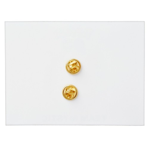 Pokemon Gym Badges! Pin Brooch Label & Coins Collectible LARGEST SELECTION USA - Picture 23 of 58