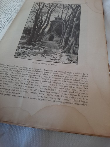 1882 Harper's New Monthly Magazine Antique vol 65 No 389 Post Civil War Invasion - Picture 7 of 23