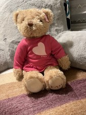 FAO Schwarz 2012 Toys R Us Teddy Bear Plush Stuffed Animal in Pink Heart Dress
