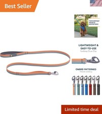 Durable 5ft Polyester Dog Leash with Padded Handle for All Breeds - Spring Fade