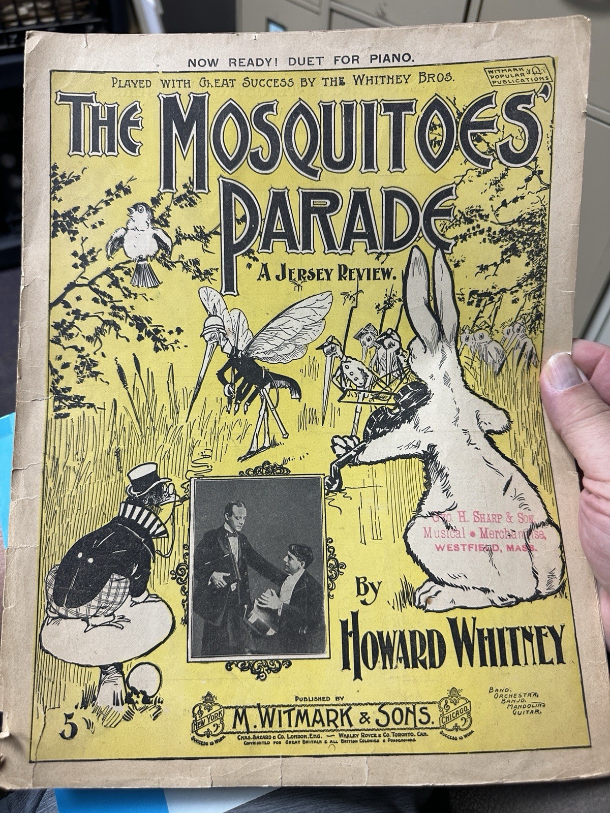 1900 11x14 sheet music THE MOSQUITOES’ PARADE by Whitney