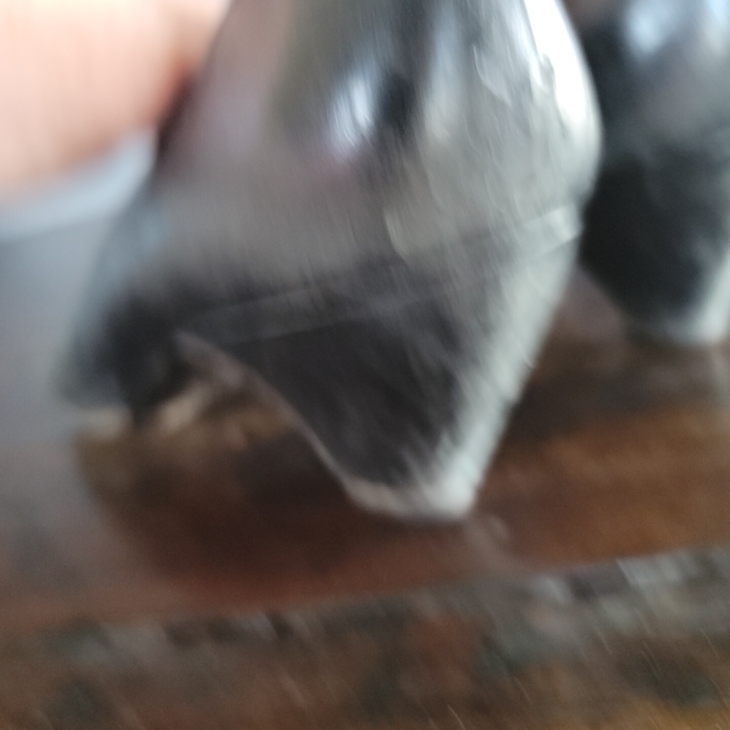 Picture 6 of 13