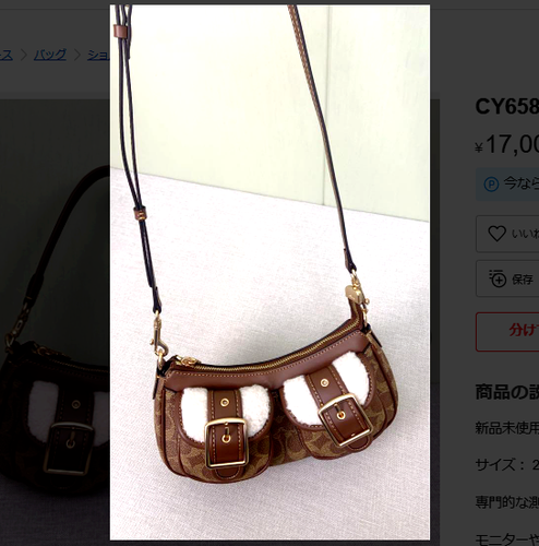 COACH CY658 Ashton Baguette Bag In Signature Canvas Brown Tan Natural Outlet NEW - Picture 5 of 10