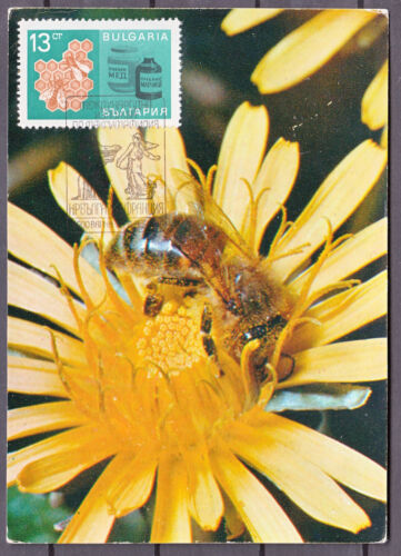 1967 Bulgaria Bees, beehives, economic achievements Postcard