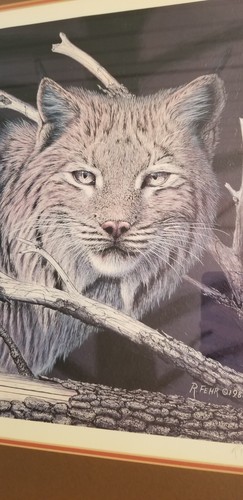 Randy Fehr Art Print Hand Signed "Still of the Night Canada LYNX" Framed 30x26 - Picture 8 of 21