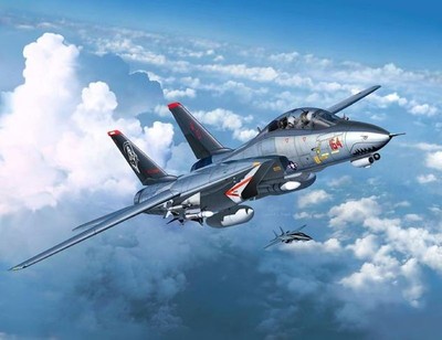 Revell F-14D Super Tomcat 1:72 #03960