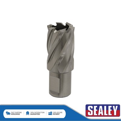 Sealey Worksafe �� 22 mm HSS Mag Bohrer Schnitttiefe 25 mm RBHSS22S