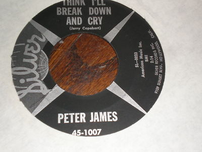 Peter James 45 Think I'll Break Down And Cry SILVER
