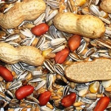 Johnston & Jeff Chipmunk And Squirrel Mix upto 12.5kg wild squirrel food feed