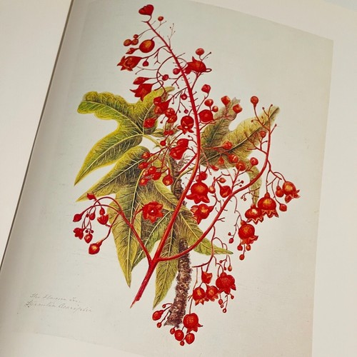 From Sydney Cove to Duntroon (HC) by Joan Kerr & Hugh Falksus Aus Early Settler - Picture 23 of 24