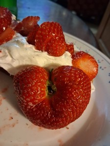 Real Heart-Shaped Red Strawberry 🍓