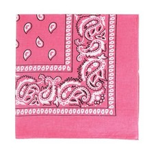 22 Inch Cotton Paisley Bandana Pink