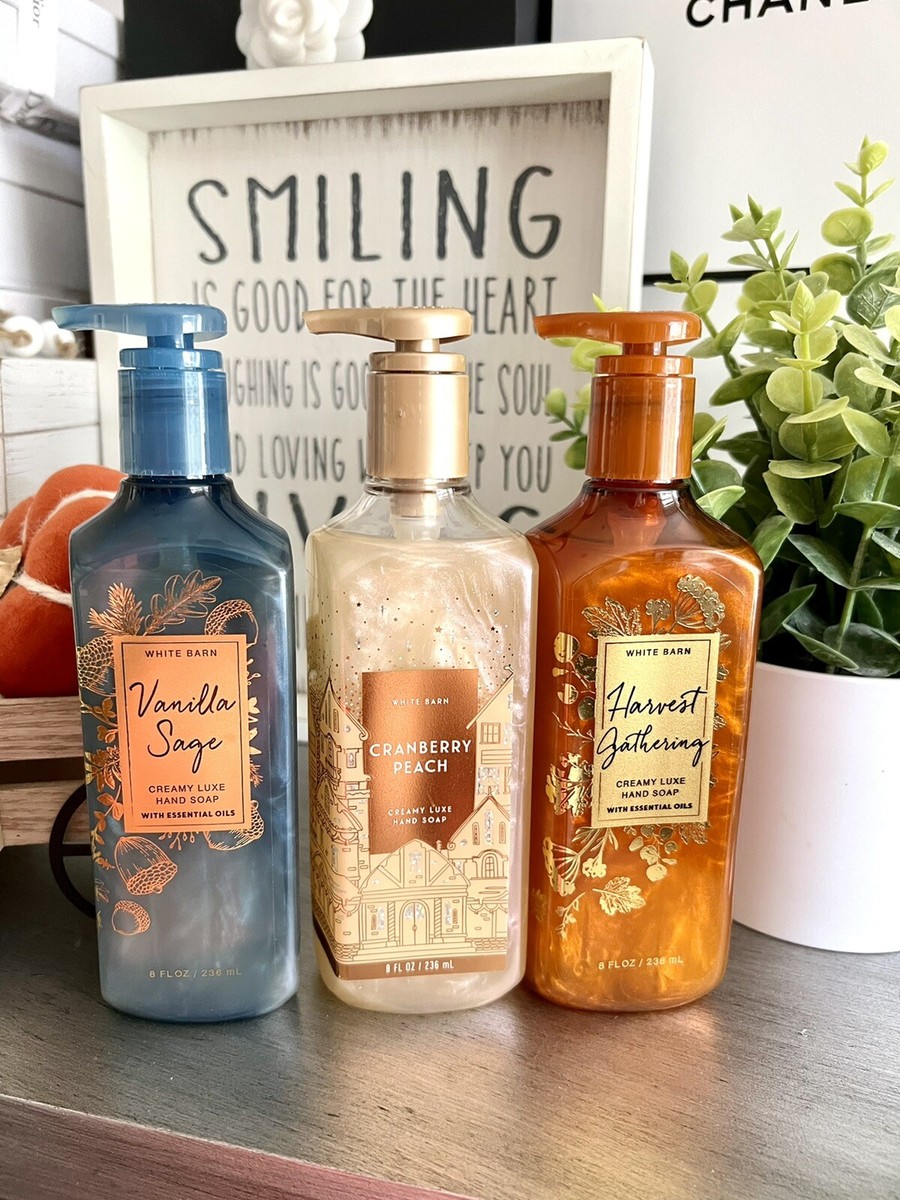 専用 Bath and Body Works Hand Soap Mist Mountainside Mist Gentle & Clean Foaming Hand Soap | Bath