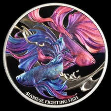2024 Niue Siamese Fighting Fish Colorized Silver Proof with Box & COA 1K Mintage