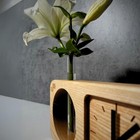 Bild 8 von 17