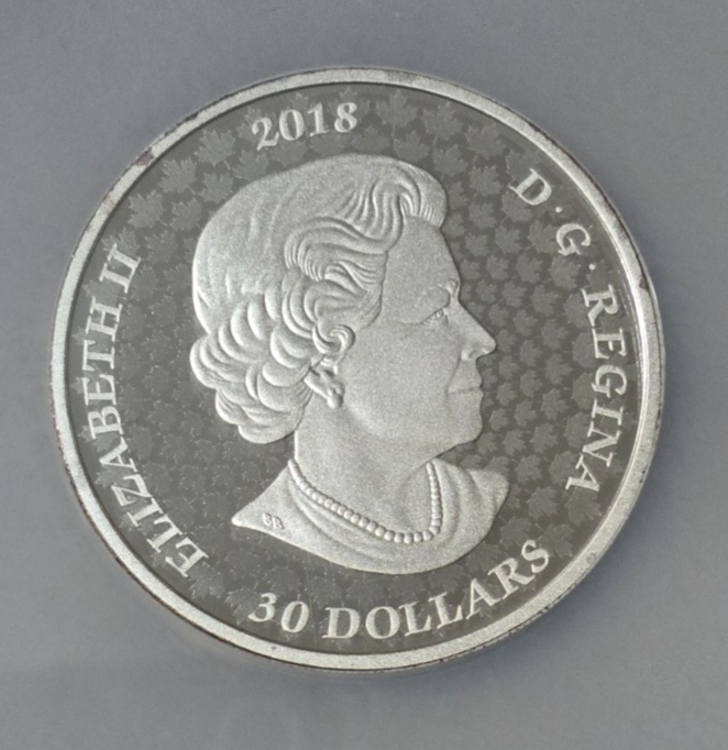 Picture 4 of 12