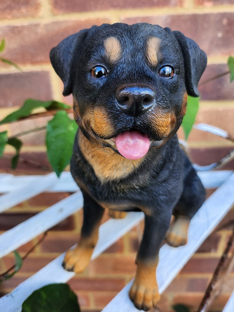 Mini Rottweiler Giocattolo 22 Cm - Modello Altamente Realistico In Plastica Per Decorazione E Collezione
