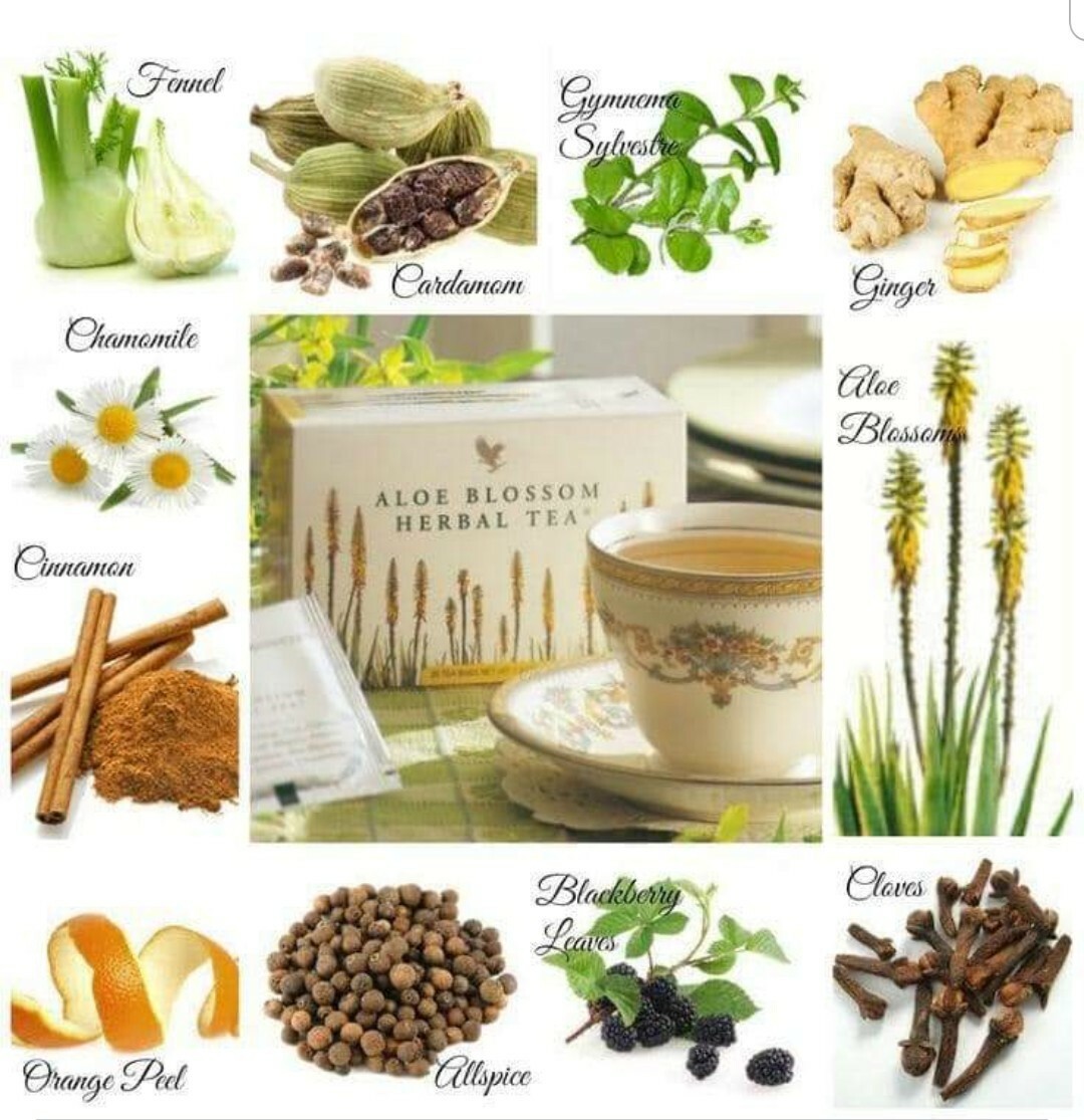 - Support Your Weight Loss Program