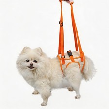 Paralyzed Dog Harness with Hind Leg Support - Small Sized Dog Sling, Adjustab...