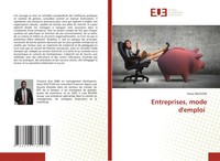 Entreprises, Mode D'emploi Steve Deutcho Taschenbuch FranzöSisch 2025