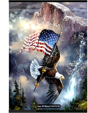 Diamond Art Painting Eagle carrying an American Flag 30X40 cm Full Drill NEW