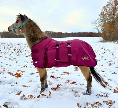 HILLSIDE HARNESS Mini Horse Winter Blanket Mini Turnout Blanket Medium Weight Belly Band Pony