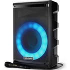Dolphin Bluetooth Karaoke Party Speaker System with Dynamic Spin LED Lights