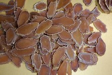 Sliced Red Ginseng root 150g "red ginseng panax"