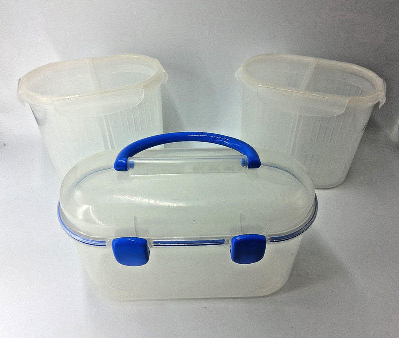 2 Lock n Lock Divided Food Storage Containers w/ Strainers, 1 Storage Box w/Lid