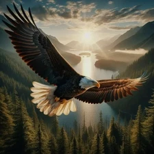 Digital image picture photo wallpaper POP ART 204