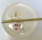 Foto 17 di 17