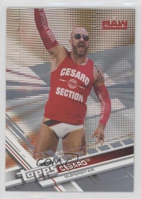 2017 Topps WWE Then Now Forever Silver 10/25 Cesaro #113 3g6