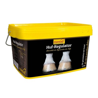 marstall Huf-Regulator