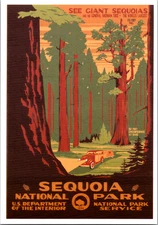 Vintage Postcard Sequoia National Park Giant Sequoias & General Sherman Tree