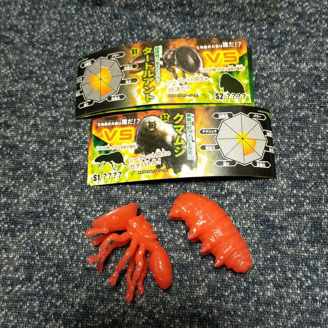 Chocolate Eggs The Mightiest King Insects Secret Turtle Ant Water Bear Ebay