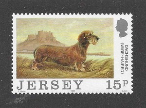 Dog Art Body Portrait Postage Stamp Wire Haired Dachshund Jersey