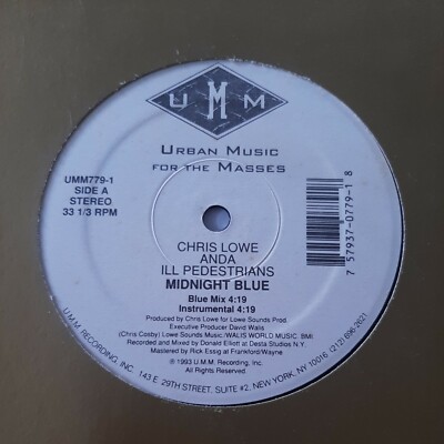 Chris Lowe Anda Ill Pederstrianas Can I Hit It UMM Records LP VG #4140