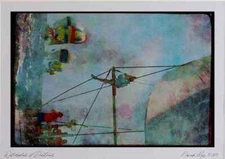 Sailing 172020 Checking The Spinaker At Antigua Race Week, 1989 Watercolour Pic