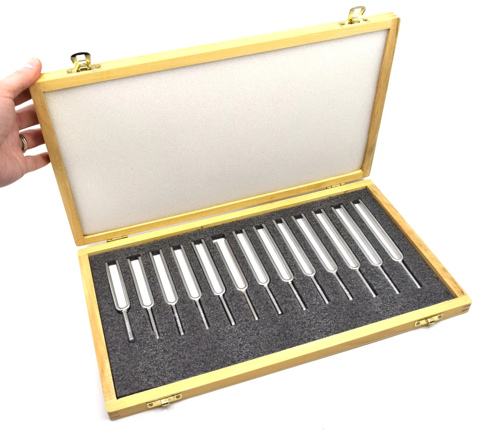 Steel Tuning Fork Set - Set of 13 - In Wooden Case - Physics Study - Eisco Labs