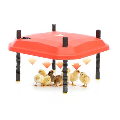 Chioccia Artificiale Riscaldante Per Pulcini - Piastra Termica 22W Regolabile Per 10-20 Pulcini - Foto 7