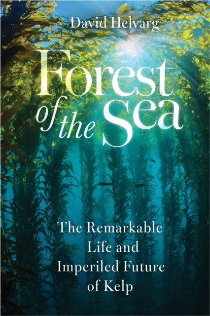 Forest Of The Sea : The Remarkable Life