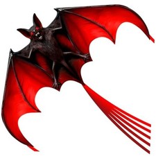 Large Kite with String Reel, Safe and Easy to Fly Kites for Kids and