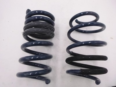 PAIR Steeda Mustang Lowering Springs For 2015-2024 Mustang MagneRide