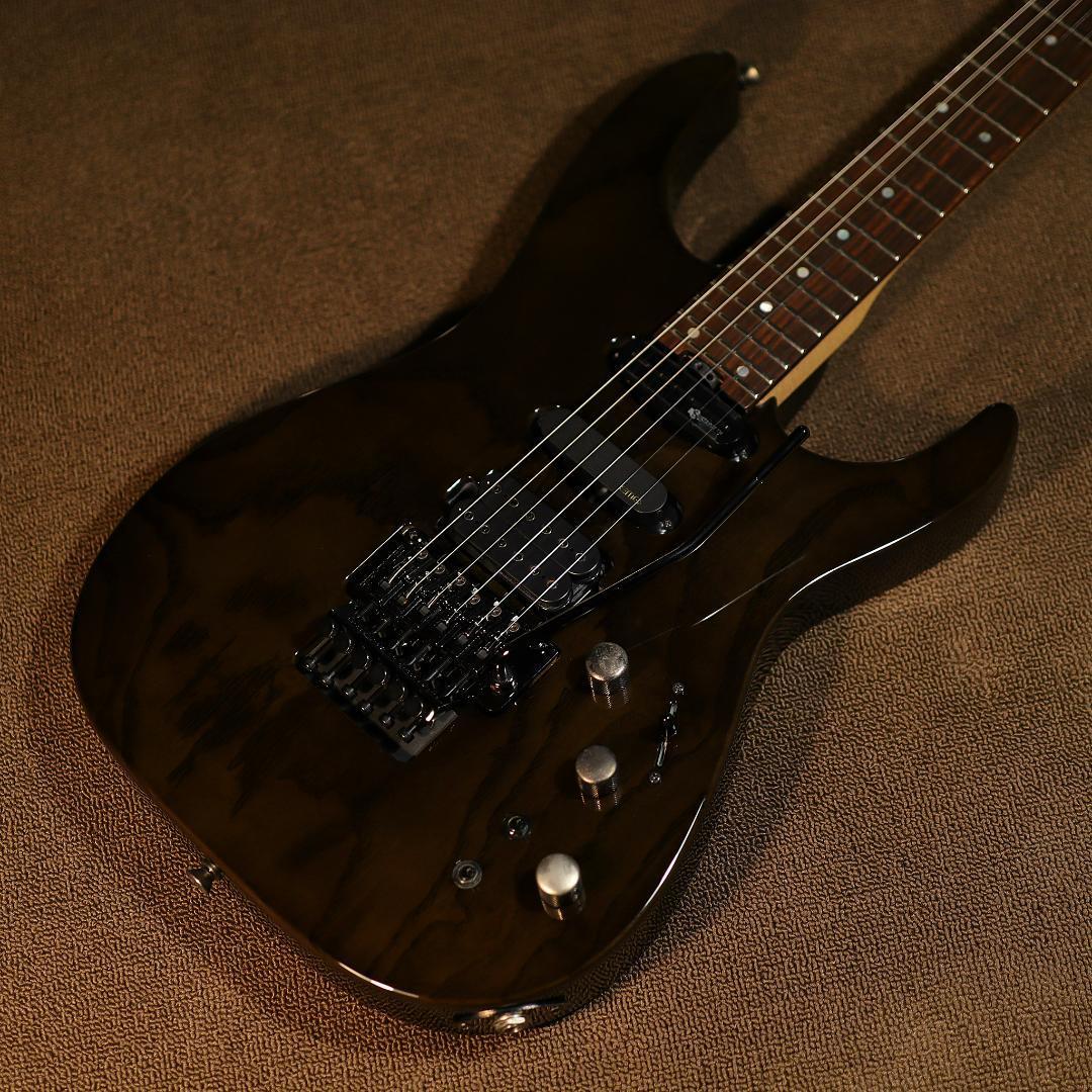 Fernandes FR-DLX JPC SBK サステイナー 2011年