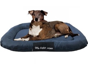 durable waterproof dog bed