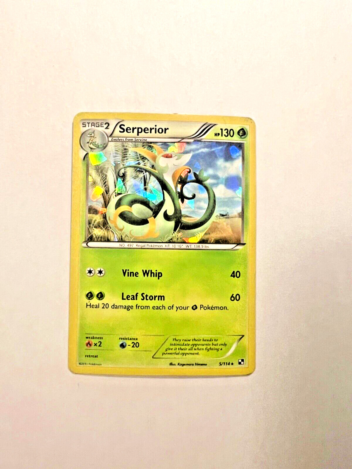 Serperior Pokemon Card Holographic Black & White 5/114 Holo Shattered Rare 2011