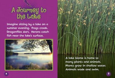 Let's Visit the Lake (Biome Explorers: Lightning Bolt Books)